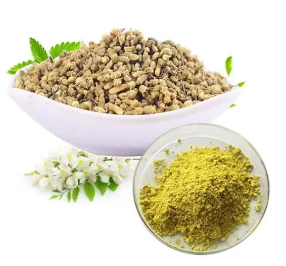 Introduction to Quercetin Extract from Sophora Japonica