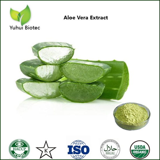 Aloe Vera Extract