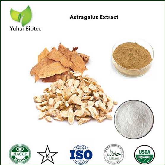 Astragalus Root Extract