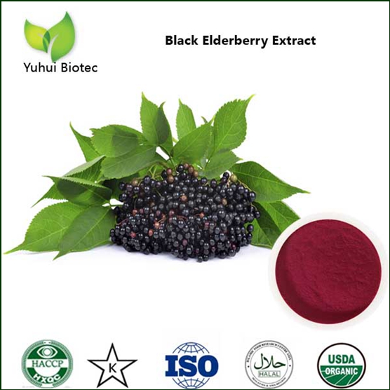 Elderberry Extract