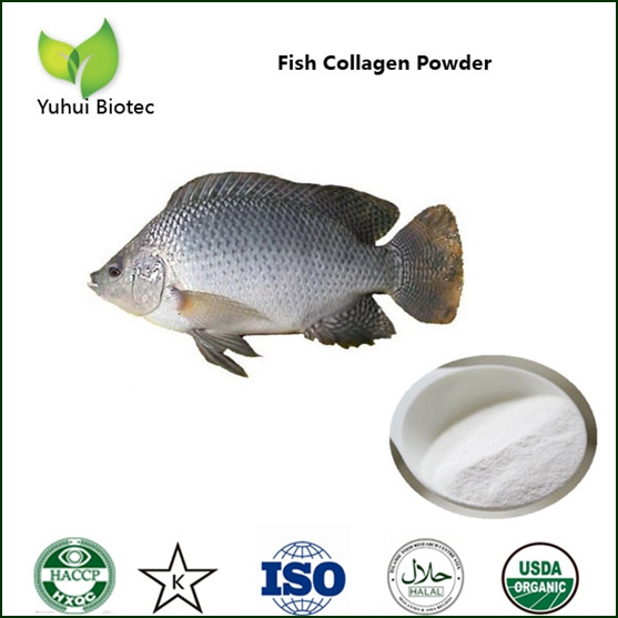Fish collagen peptide