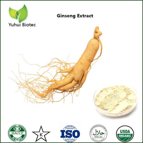 Ginseng Extract
