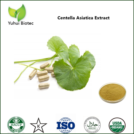 Centella Asiatica Extract