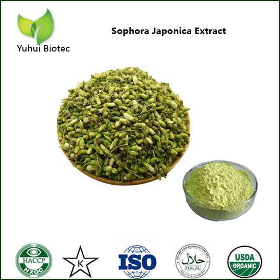 Sophora Japonica Extract Quercetin