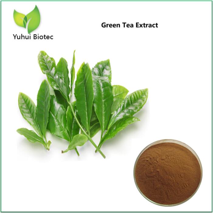 Green Tea Extract