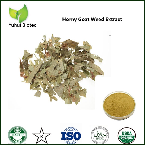 Epimedium Extract