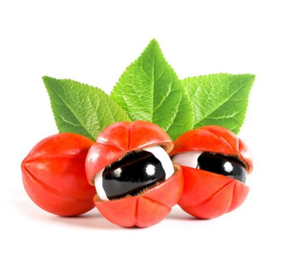  Natural Energy Boost: Why Guarana Extract is So Popular in Supplements