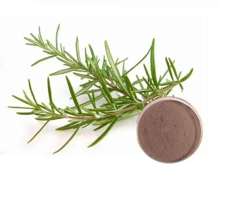 Ursolic Acid in Rosemary Extract: Benefits, Uses, and Science Behind the Compound